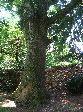 2006-0608-1216-28.jpg